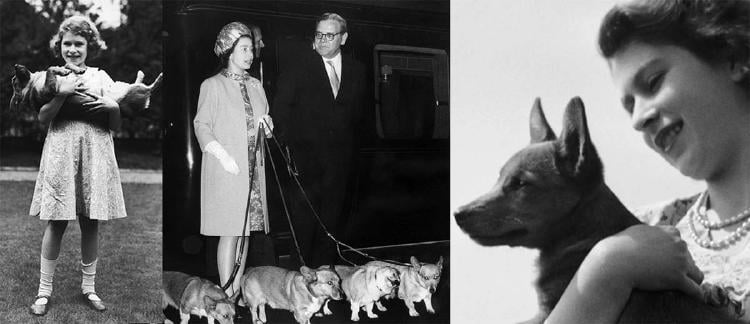 corgis isabel II3 corgis isabel II3