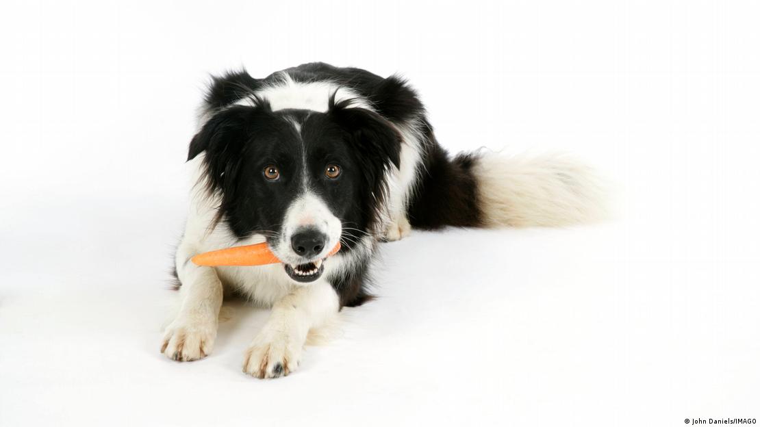 65895144_906 65895144_906