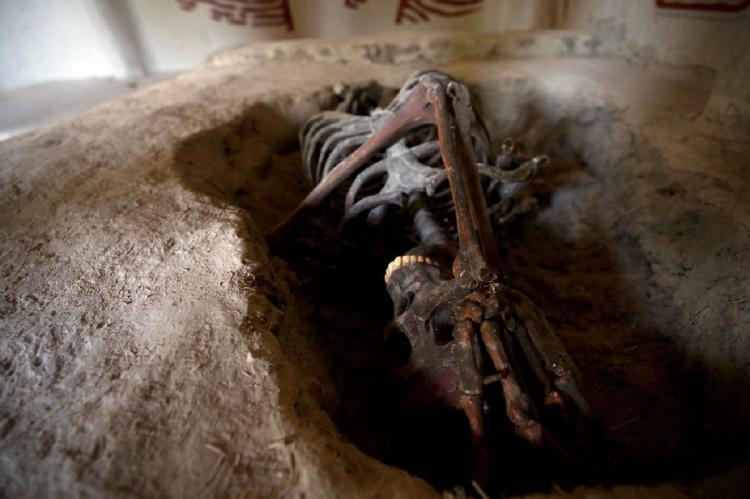 Neolítico Neolítico