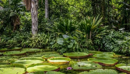 Proyecto nuevo Proyecto nuevo