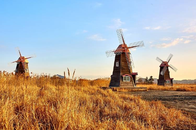 Molinos de viento: una forma de aprovechar las energías renovables