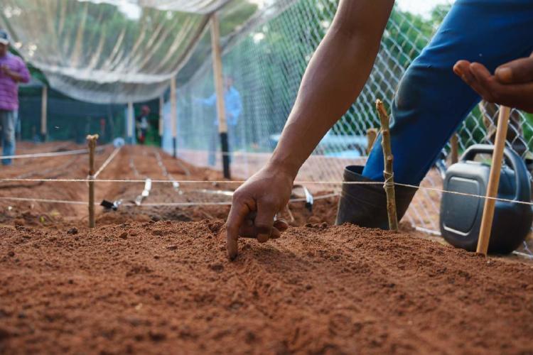 Huertas comunidades indígenas paraguay Huertas comunidades indígenas paraguay