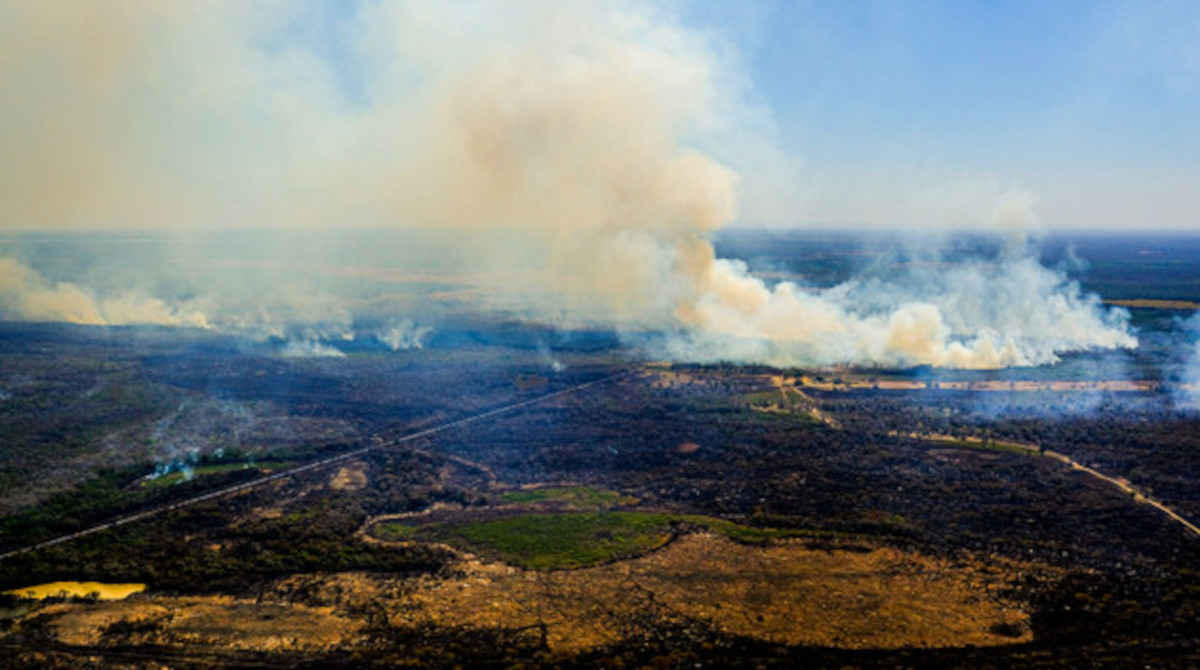 humedal brasil incendios
