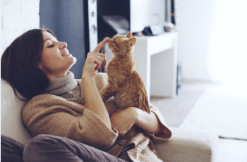 5 gestos con los que tu gato te dice que te quiere