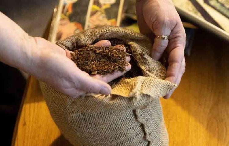 terramacion2 terramacion2