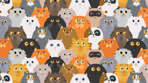 AdobeStock_313293556 AdobeStock_313293556