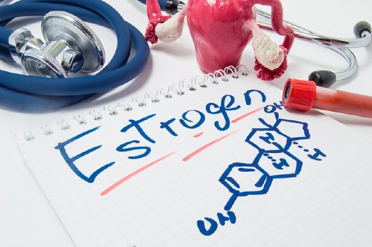 estrógeno hormonas