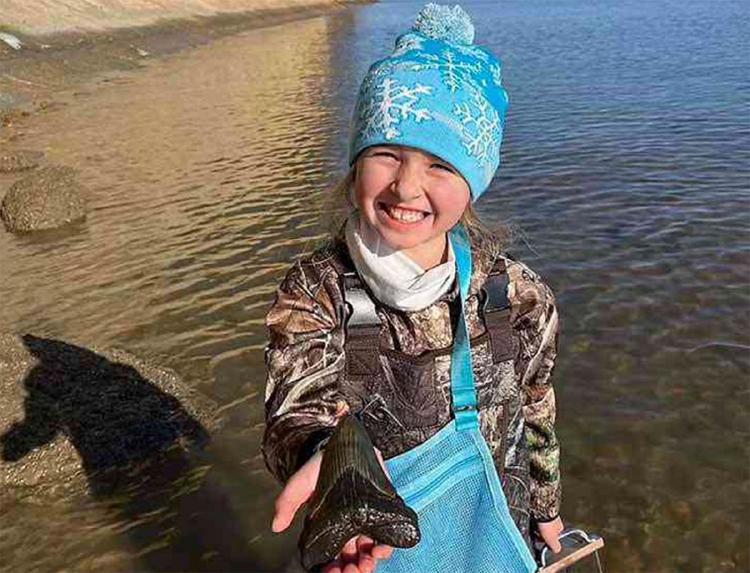 niña megalodon Facebook Calvert Marine Museum niña megalodon Facebook Calvert Marine Museum