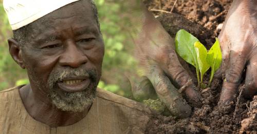 Premiaron con un "Nobel alternativo" a Yacouba Sawadogo, el "hombre que detuvo e