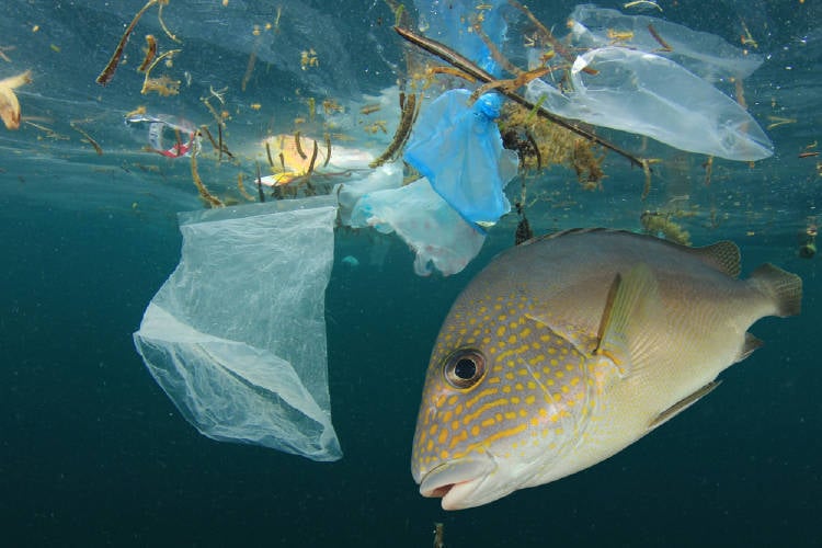 Donó su fortuna para construir un yate que juntará la basura de los océanos