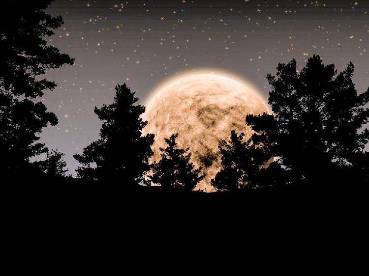 luna de fresa luna de fresa