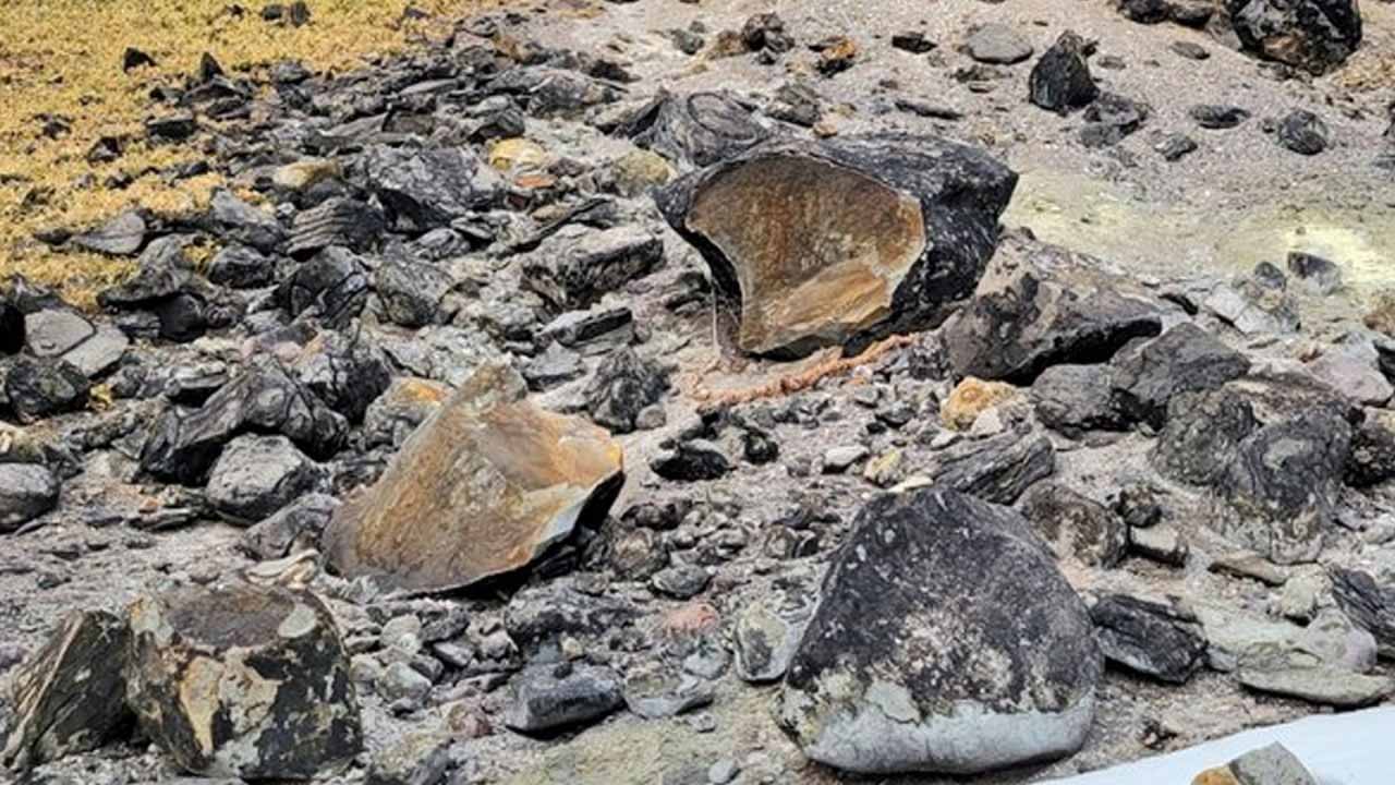 roca japon roca japon