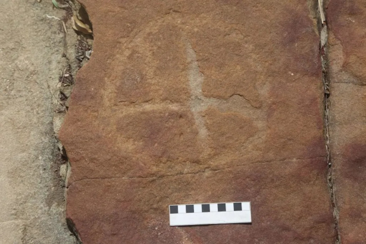 huellas dinosaurios petroglifos3