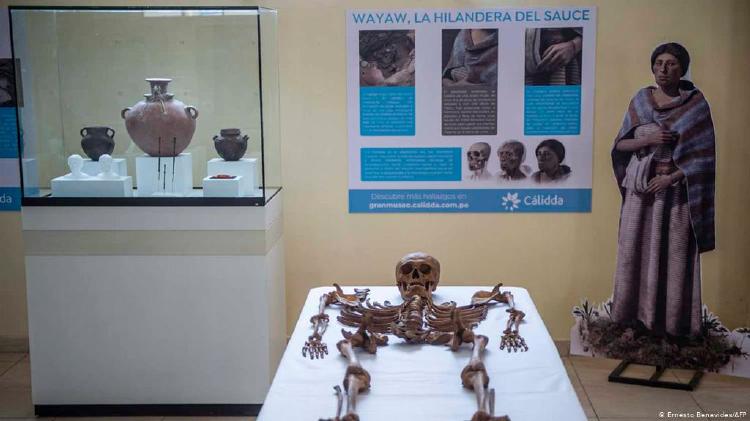 55776877_101 55776877_101