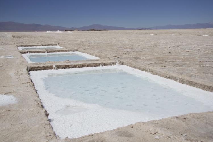 IMG_7659 768x511 IMG_7659 768x511