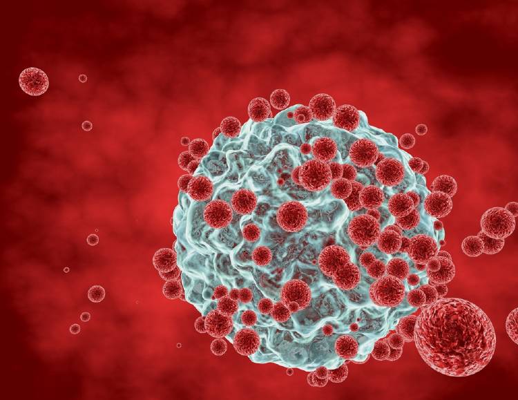 cancer celula Estrés oxidativo: ¿De qué se trata y cómo se previene?