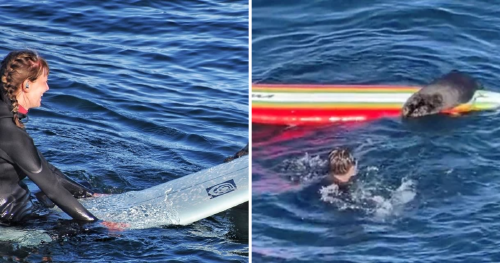 Collage portadas notas(6) Collage portadas notas(6)