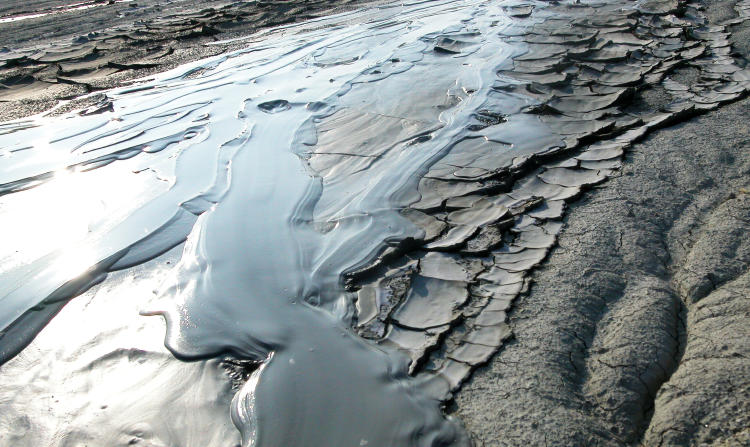 shutterstock_1708633327 shutterstock_1708633327