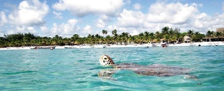 5aa7f9a4aa796.jpg 5aa7f9a4aa796.jpg