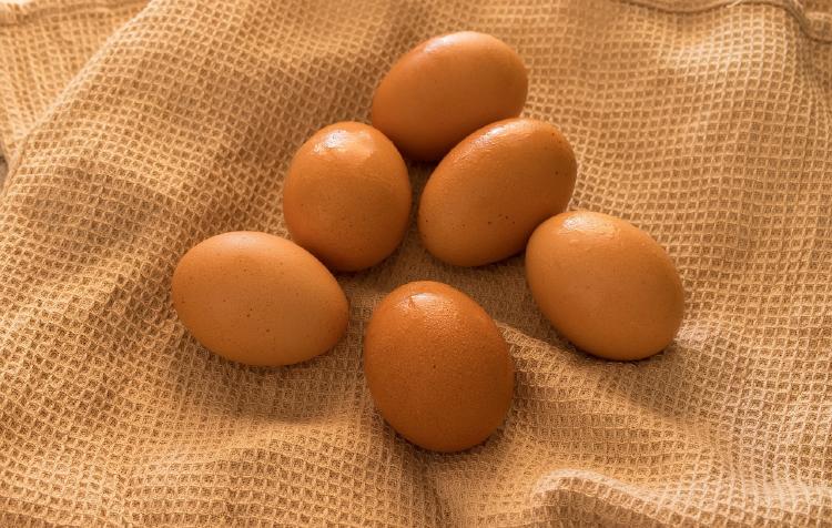 eggs 5878333_1920 eggs 5878333_1920