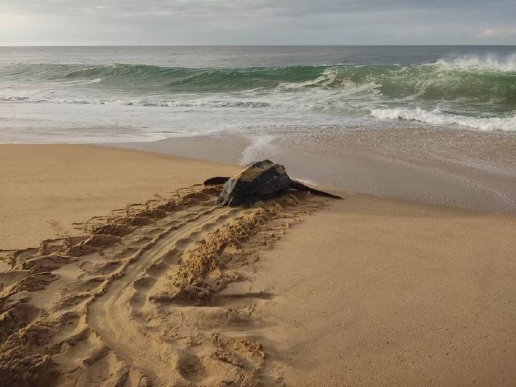 326924501_1168794150441785_8632690083704049480_n 326924501_1168794150441785_8632690083704049480_n