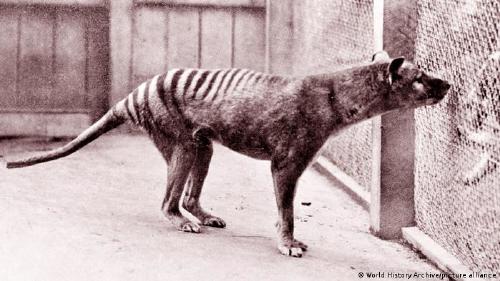 63991997_303 63991997_303