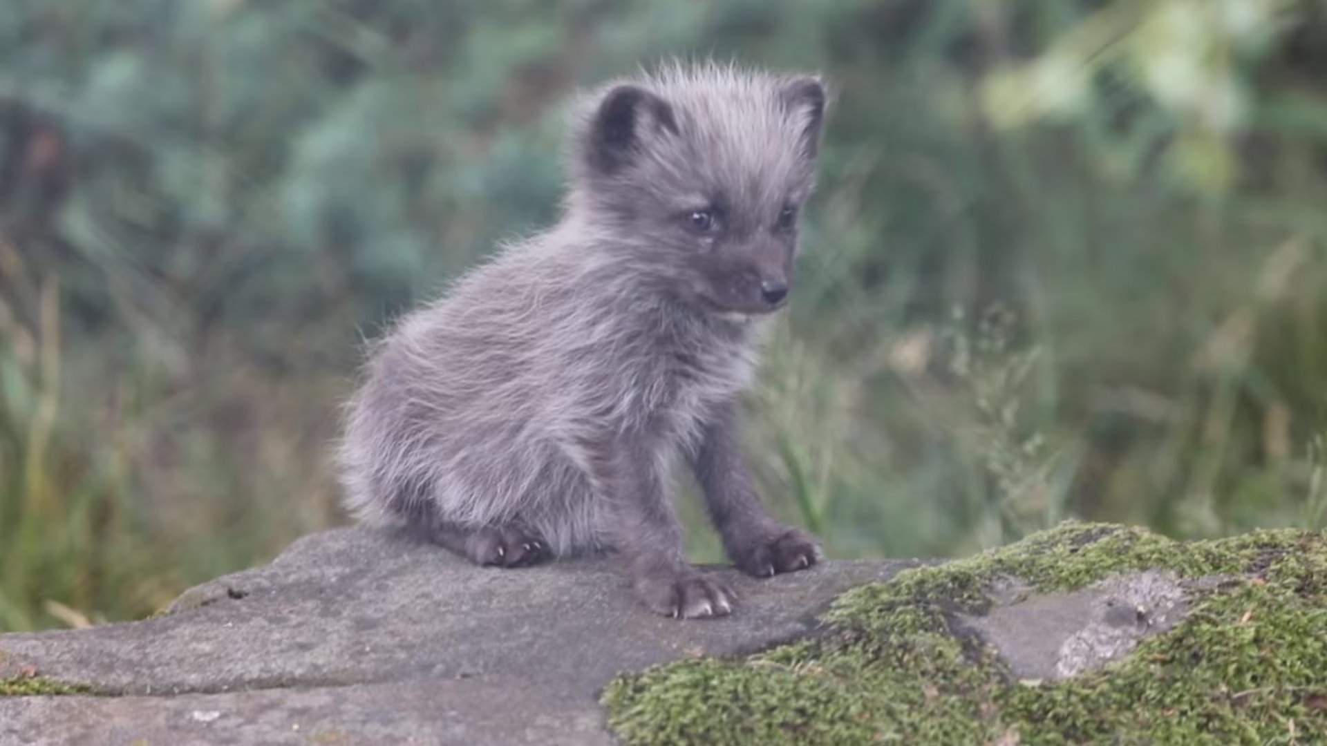 4LTYJU3I3ZAHJC4OMVYKB5LI7U 4LTYJU3I3ZAHJC4OMVYKB5LI7U