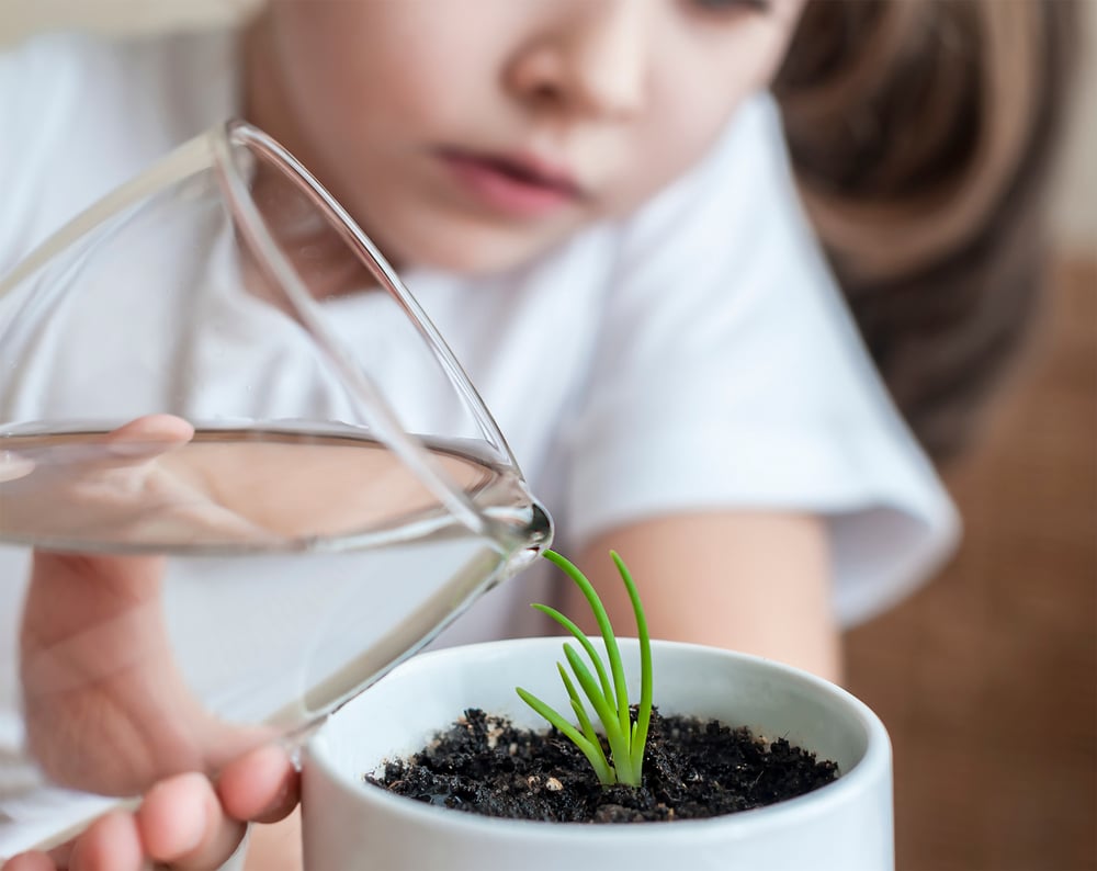 niño riega planta