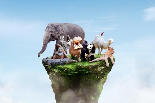 animales en peligro de extinción animales en peligro de extinción