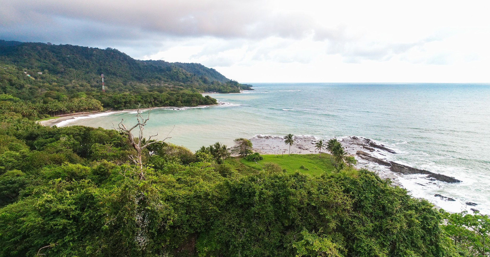 nicoya