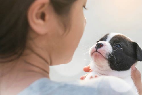 mujer cachorro