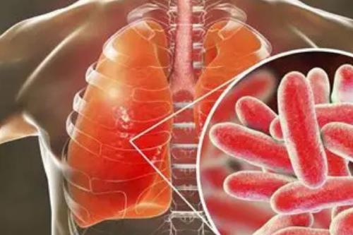 LEGIONARIO 65ymas.com