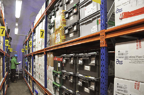 Semillero global Noruega Semillero global Noruega