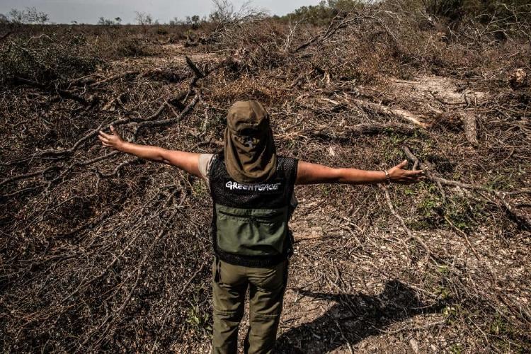 GPA Desmonte 3 Formosa GPA Desmonte 3 Formosa