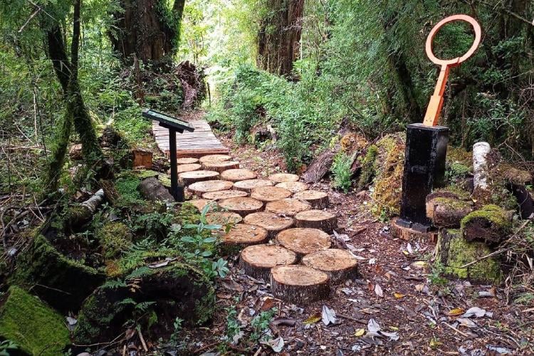 Reserva Fundo Chenue Reserva Fundo Chenue