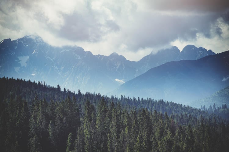 shutterstock_512948026 shutterstock_512948026