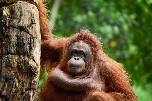 shutterstock_1607247847 shutterstock_1607247847