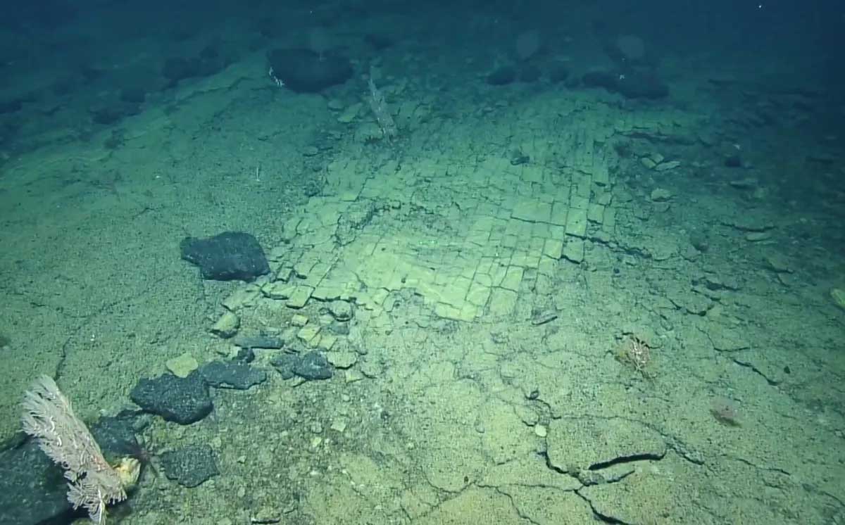 lecho ladrillos lecho ladrillos