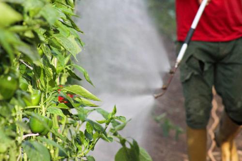 agroquimicos fumigacion agroquimicos fumigacion