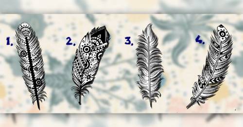 TEST: ¿Quieres conocer tu verdadera misión en esta vida? Elige una pluma y descúbrela