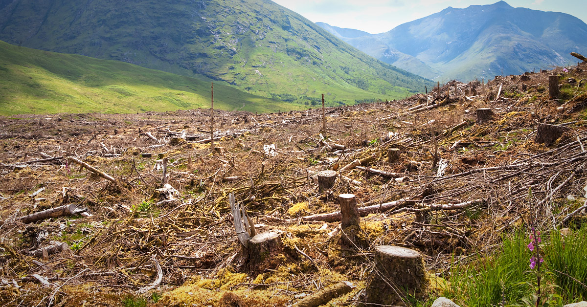 agotamos-recursos-planeta-tierra agotamos-recursos-planeta-tierra