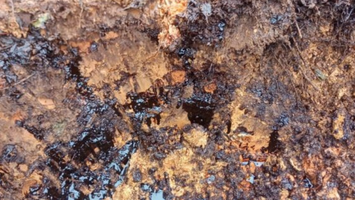 derrame petróleo Derrames de petróleo afectan a indígenas en Perú.