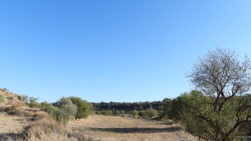 Reto visual Reto visual