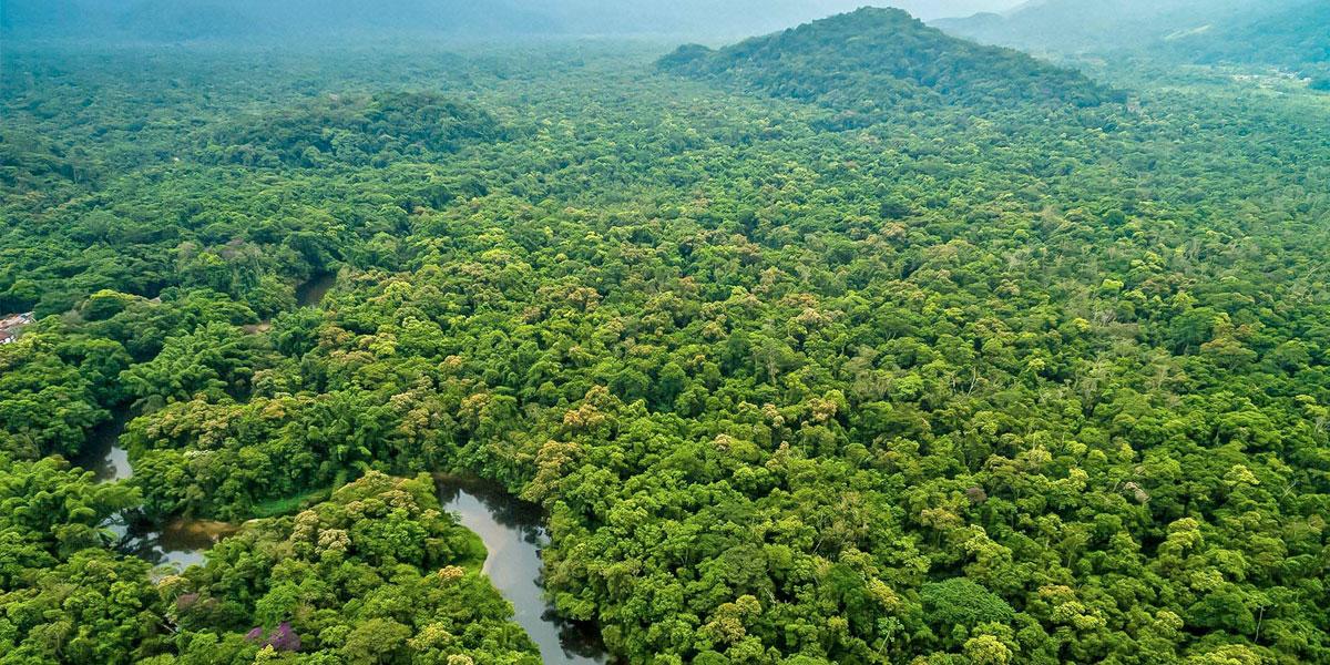 Amazonas