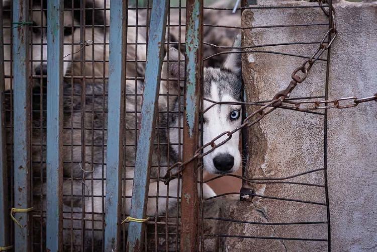 AdobeStock_480677940 AdobeStock_480677940