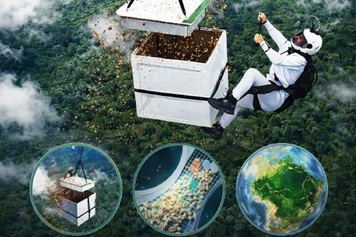 paracaidista semillas Imagen: IA