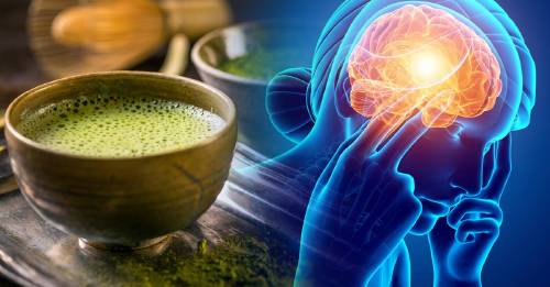 Té de matcha: propiedades, beneficios y cómo se usa