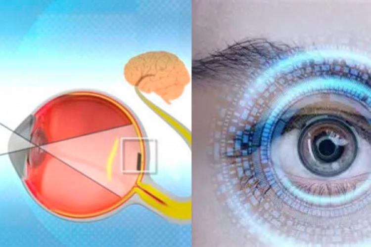 ojo Un avance científico de Stanford podría cambiar la vida de miles de personas: un implante visual que devuelve luz, contornos y autonomía a quienes perdieron la vista por daños en la retina.