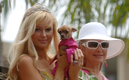 paris hilton paris hilton