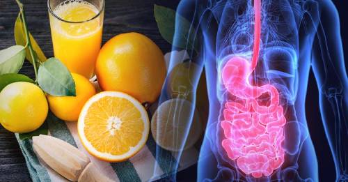 5 nutrientes que no pueden faltar y cómo incorporarlos a la dieta